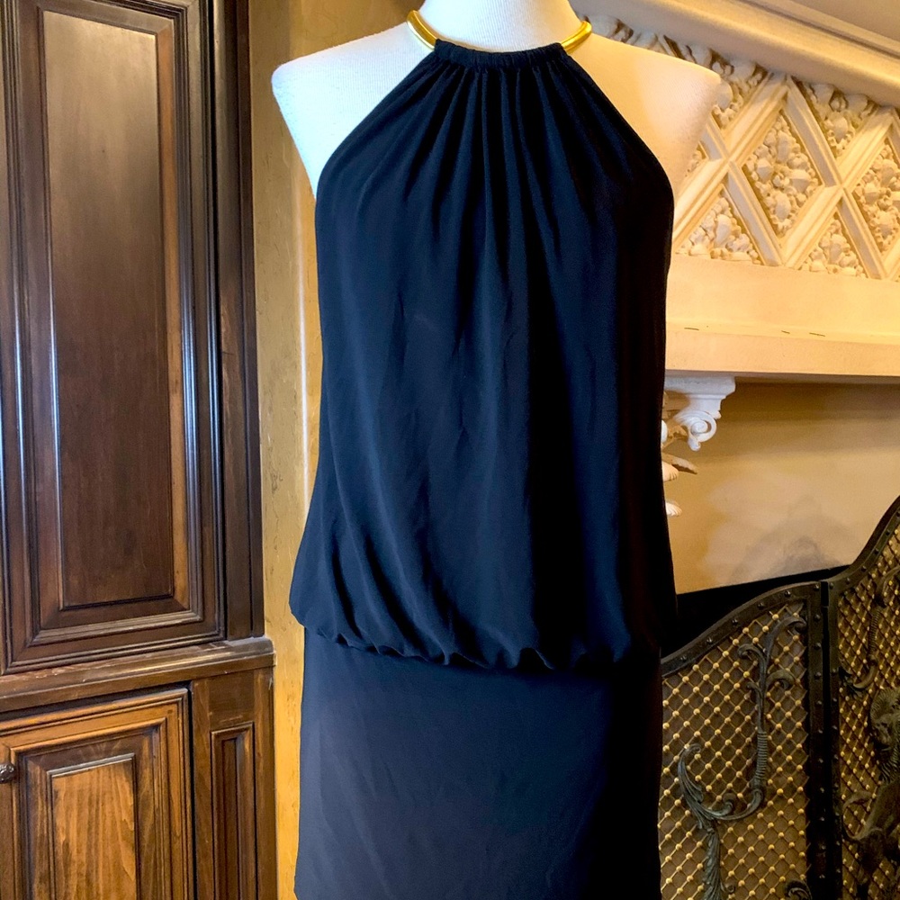 Laundry By Shelli Segal Dress